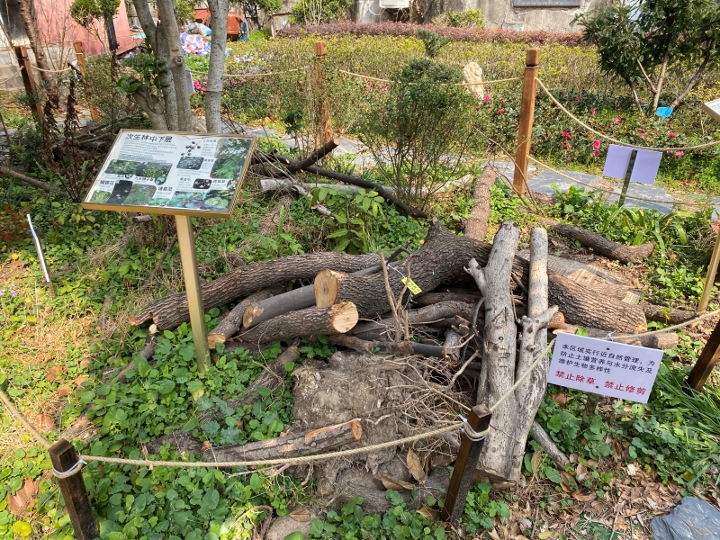 用木材搭建的本杰士堆