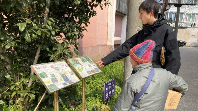 “至尊雨蛙战神”向路过的居民介绍植物信息