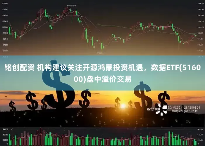 铭创配资 机构建议关注开源鸿蒙投资机遇，数据ETF(516000)盘中溢价交易